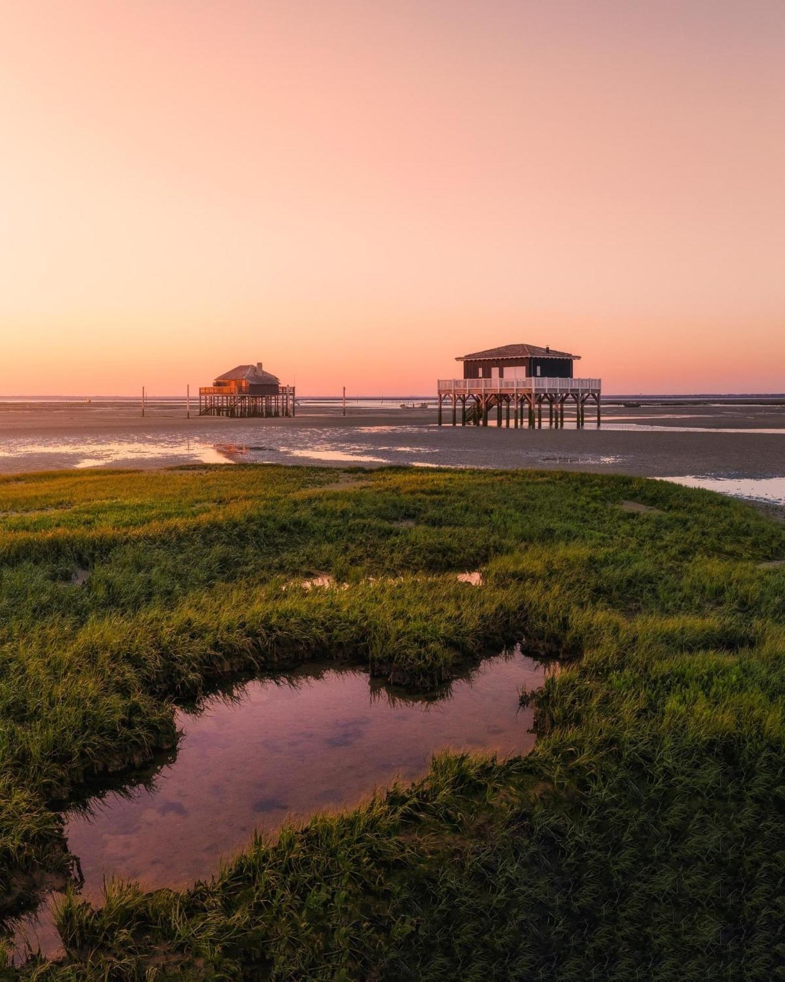 Cocon Entre Presqu'Ile Du Cap Ferret Et Plages Oceanes - Terrasse - 1 Velo Gratuit 아레즈 외부 사진