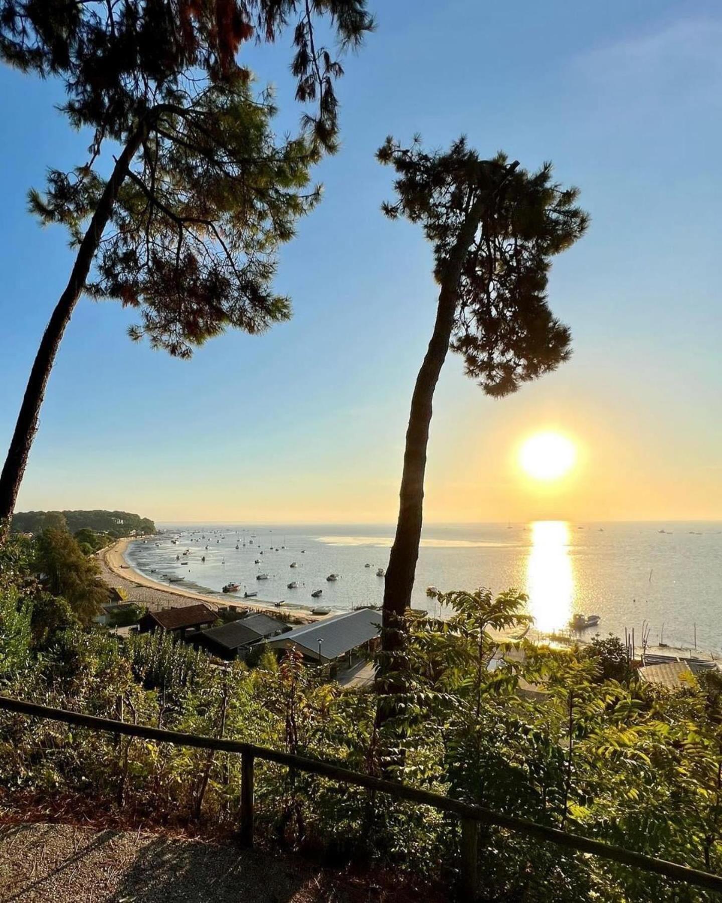 Cocon Entre Presqu'Ile Du Cap Ferret Et Plages Oceanes - Terrasse - 1 Velo Gratuit 아레즈 외부 사진