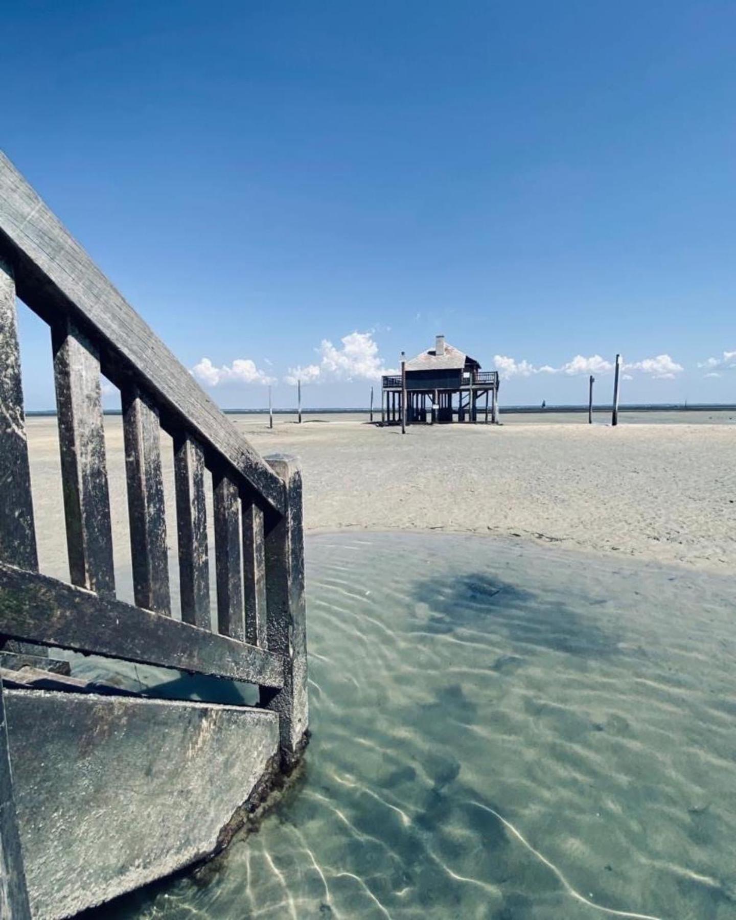 Cocon Entre Presqu'Ile Du Cap Ferret Et Plages Oceanes - Terrasse - 1 Velo Gratuit 아레즈 외부 사진