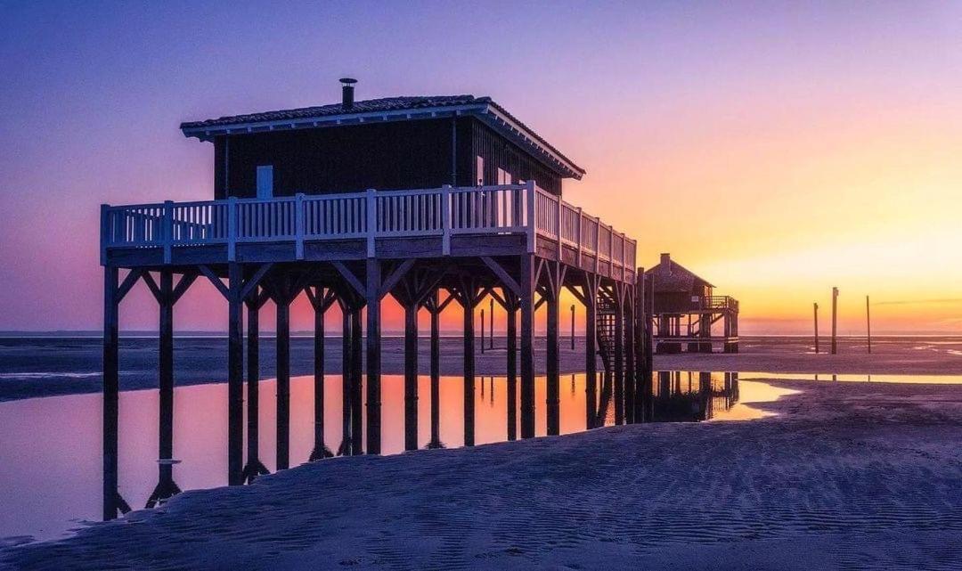 Cocon Entre Presqu'Ile Du Cap Ferret Et Plages Oceanes - Terrasse - 1 Velo Gratuit 아레즈 외부 사진