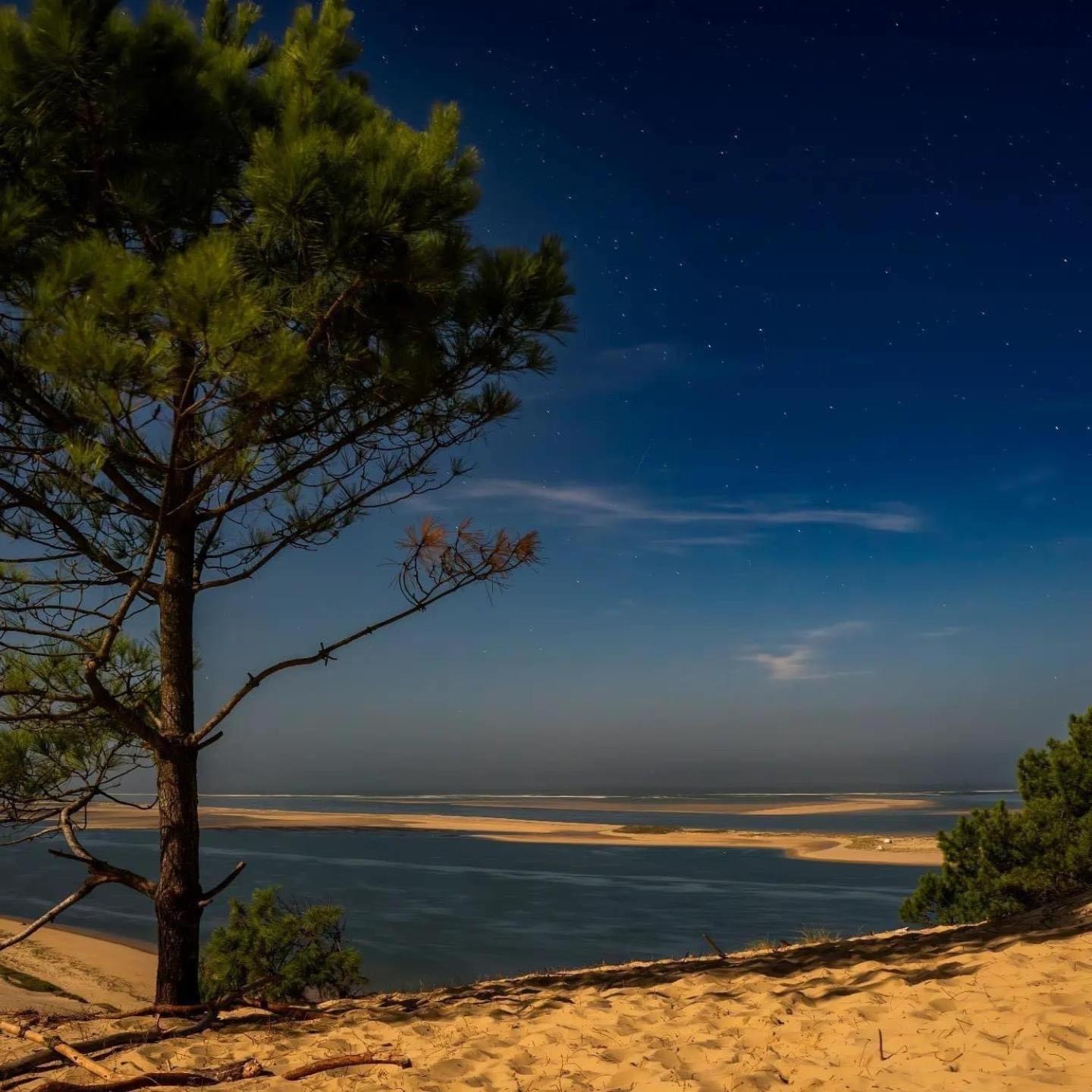Cocon Entre Presqu'Ile Du Cap Ferret Et Plages Oceanes - Terrasse - 1 Velo Gratuit 아레즈 외부 사진