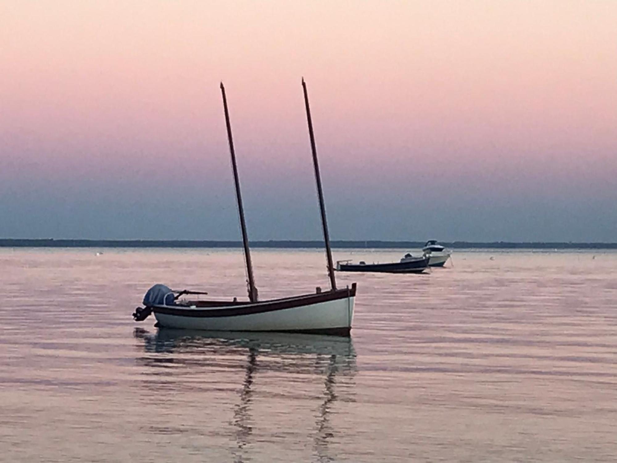 Cocon Entre Presqu'Ile Du Cap Ferret Et Plages Oceanes - Terrasse - 1 Velo Gratuit 아레즈 외부 사진