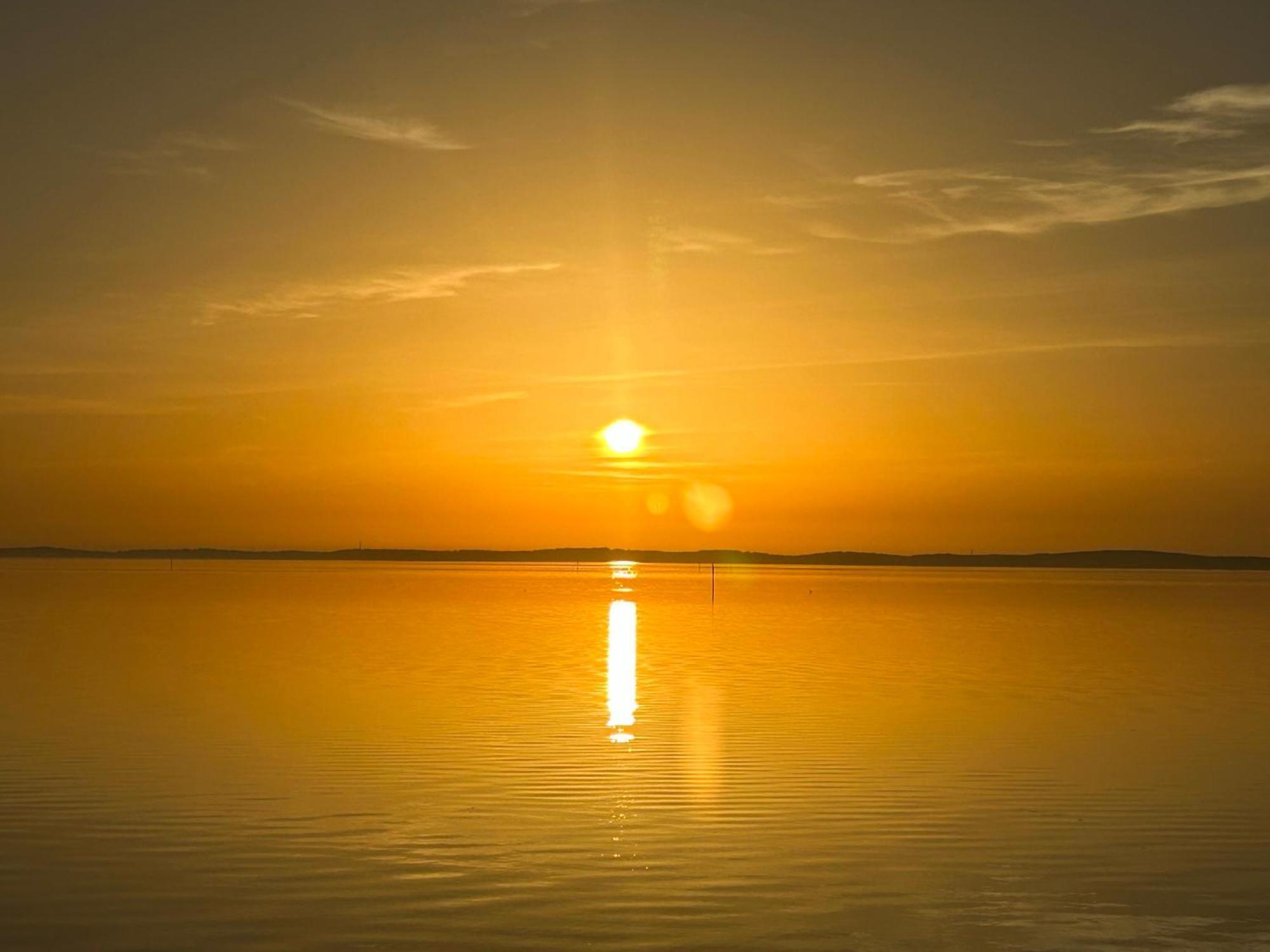 Cocon Entre Presqu'Ile Du Cap Ferret Et Plages Oceanes - Terrasse - 1 Velo Gratuit 아레즈 외부 사진