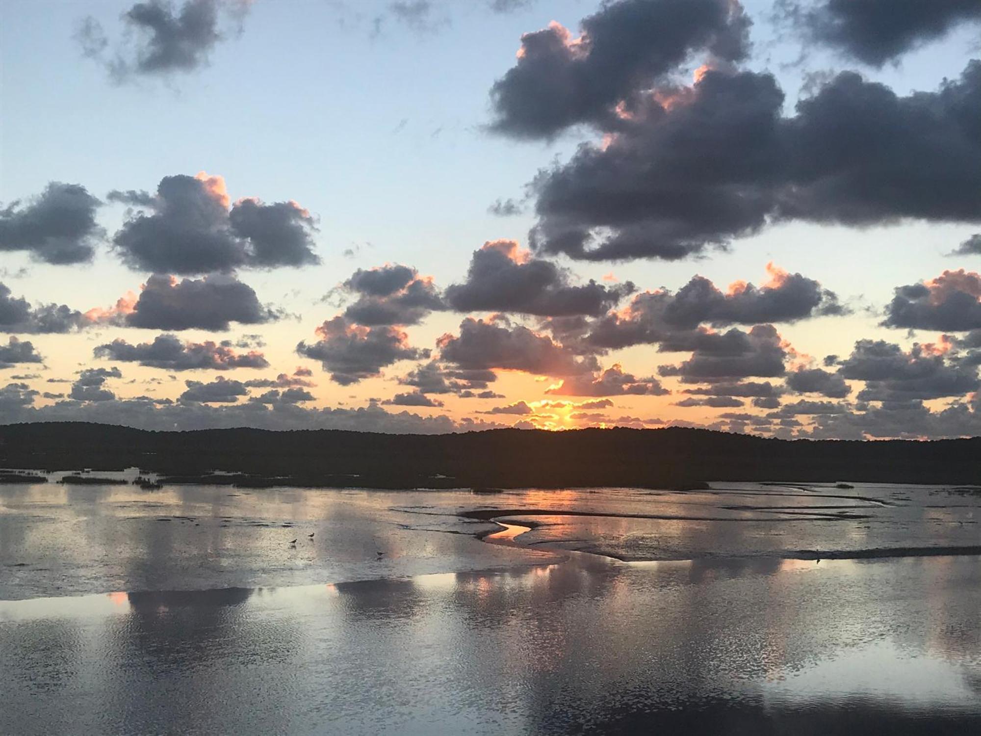 Cocon Entre Presqu'Ile Du Cap Ferret Et Plages Oceanes - Terrasse - 1 Velo Gratuit 아레즈 외부 사진