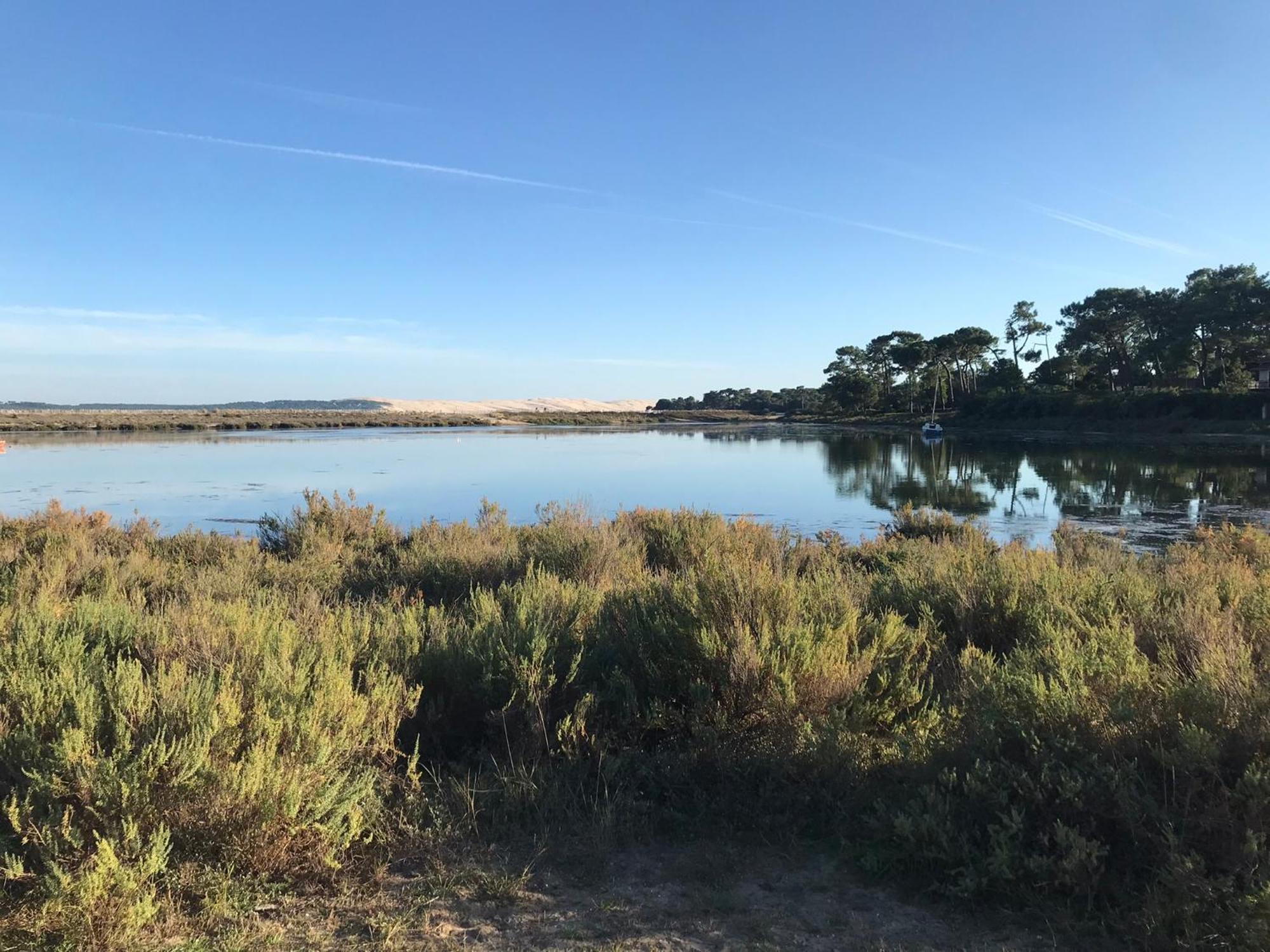 Cocon Entre Presqu'Ile Du Cap Ferret Et Plages Oceanes - Terrasse - 1 Velo Gratuit 아레즈 외부 사진