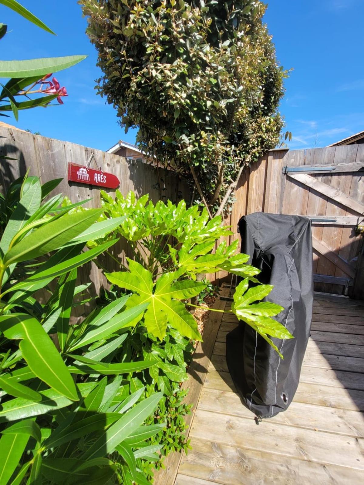 Cocon Entre Presqu'Ile Du Cap Ferret Et Plages Oceanes - Terrasse - 1 Velo Gratuit 아레즈 외부 사진