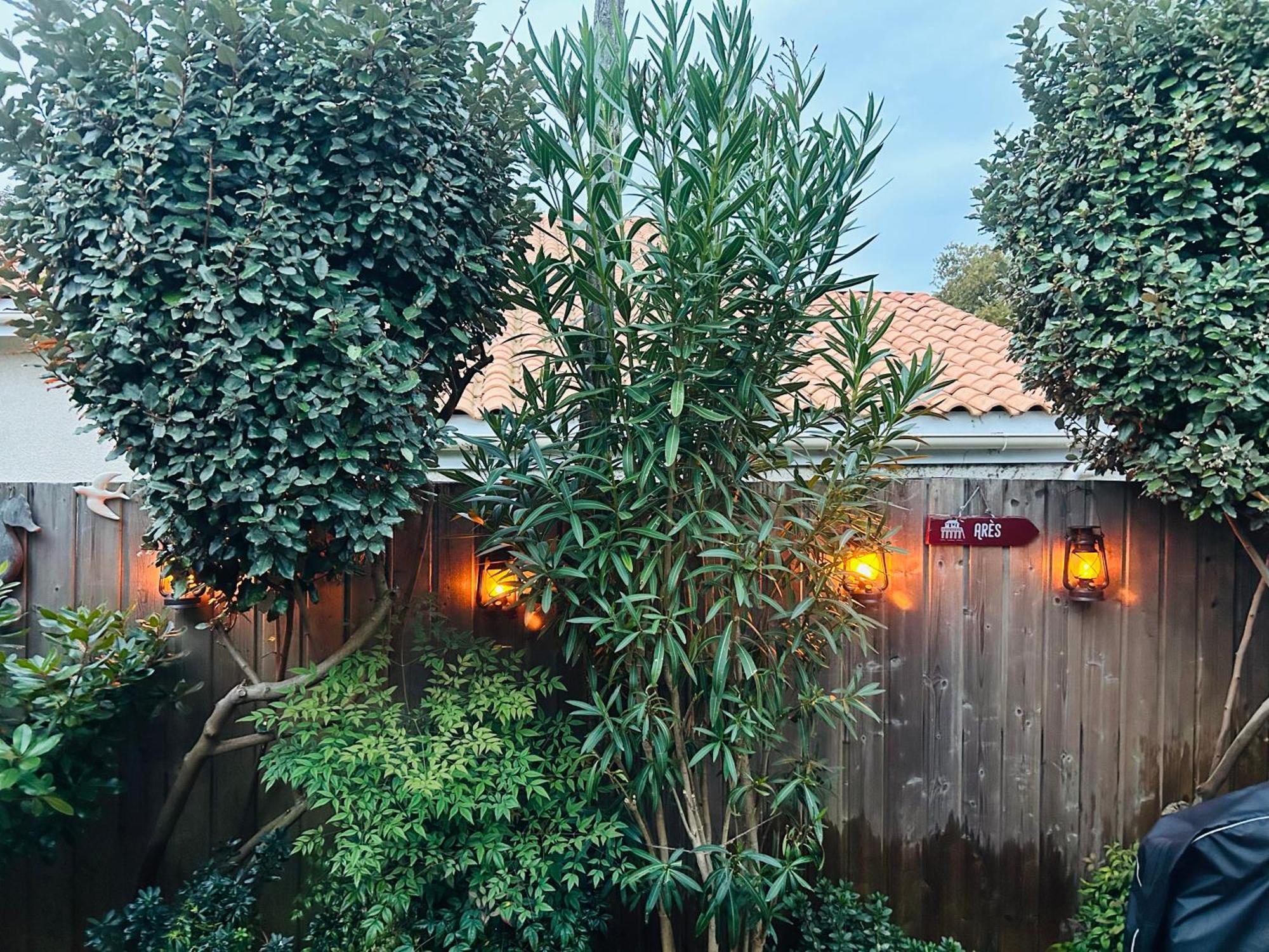 Cocon Entre Presqu'Ile Du Cap Ferret Et Plages Oceanes - Terrasse - 1 Velo Gratuit 아레즈 외부 사진